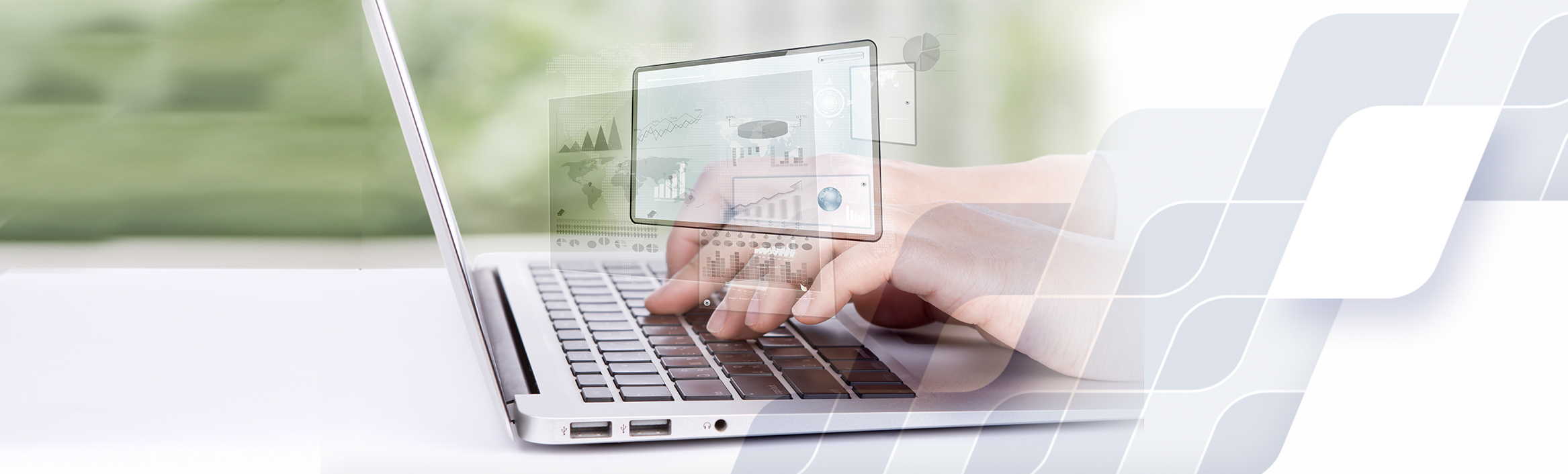 Web development